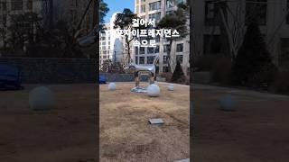 걸어서 개포자이프레지던스 속으로 | 걸어서 개자프 | 개포 주공4단지 재건축 | Gaepo Xi Presidence