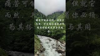 痛苦 搭建帐篷 同住 #正能量 #疗愈 #静心小筑 #女性心灵驿站 #shorts