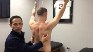 How to Cue the Scapula During Shoulder Exercises