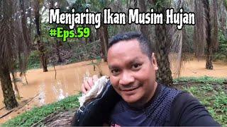 Menjaring Ikan Musim Hujan | Eps 59