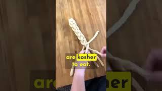 What Does Kosher Mean?