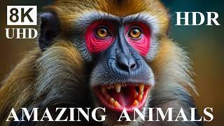 WORLD OF ANIMALS 8K HDR ULTRA HD – Most Amazing Animals