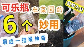 【废物利用】矿泉水瓶使用方法大全, 6个技巧对种菜有帮助