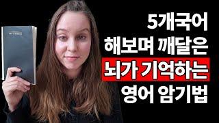 5개국어 해보며 깨달은 뇌가 기억하는 영어 암기법