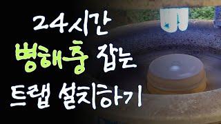 [구기자 농사일기#8] 24시간 병해충 잡는 트랩 설치하기(feat. 비닐하우스 작물)