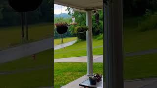 Summer Storm! #nature #thunder #porchsitting #country