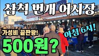 삼척 번개 어시장 충격! 10마리 5천원? 제발 배 기름 값만! 심각? 떠리떠리! 버틸수 없네요! korean fish market channel