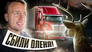 Труп в багажнике | Новый формат выпусков | Дальнобой по США