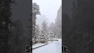  Chill vibes ️ @NationalParkService Mt Rushmore  in MAY! #snow #lsmwx #hifromsd #mtrushmore