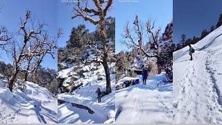 T2T - Trek To Tungnath