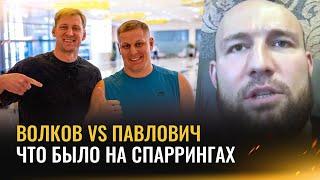 Разбор боя Волков – Павлович на UFC | «В спаррингах они не раскрывались до конца» | Адам Богатырев