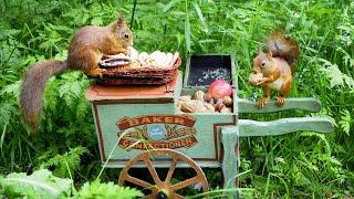 Hand Cart Bird Feeder - Relax With Squirrels & Birds ( 1 Hour+ )