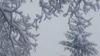 La neve del 26 Febbraio 2018
