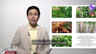 ชัวร์ก่อนแชร์ : 5 สมุนไพรฟื้นฟูตับอ่อน เบาหวานหายขาด จริงหรือ?