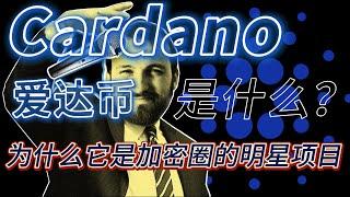 什么是Cardano和ADA，创始人为什么离开以太坊自立门户？深度介绍Cardano这个明星项目｜未来愛達幣价格會大漲嗎？