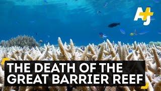 The Death Of The Great Barrier Reef