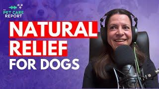 How PEA Fights Pain and Allergies in Dogs – Natural Solutions for Pet Owners