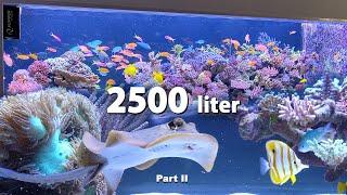 2500 liter REEF TANK - Tour Part II - Wesley's *SPS MASTERPIECE* after Rescape!