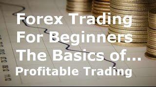 Learn Currency Trading for Beginners the Basics of Successful Trading