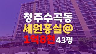 청주 수곡동 아파트 매매 전세 수곡동 세원홍실아파트 43평 1억 8천만원 청주아파트경매 - 무료상담 | 청주경매 하나로 강실장