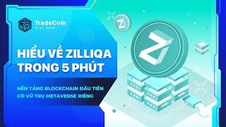 Hiểu về Zilliqa trong 5 phút - Nền tảng blockchain đầu tiên có vũ trụ metaverse riêng