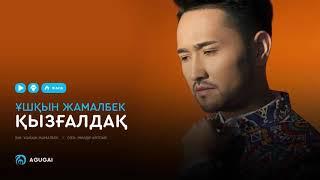 Ұшқын Жамалбек - Қызғалдақ (аудио)
