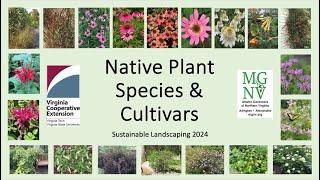 Native Plant Species & Cultivars