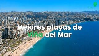 Mejores playas de Viña del Mar para vacacionar