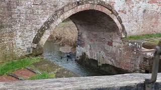 Drone trial for bridge inspections - Worcestershire County Council