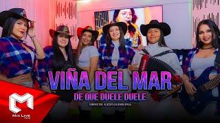 Viña del Mar  - De que duele duele (Video oficial)