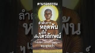 ลำดับการหลุดพ้น เมื่อเห็นไตรลักษณ์ #พุทธวจน #ตามรอยธรรม #ภิกขุเอเอ