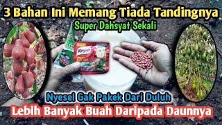 Modal 3 Bahan Saja !! Lebih Banyak Buah Daripada Daunnya ! Racikan Pupuk Dahsyat Buatan Sendiri‼️