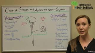 What is your autonomic nervous system?