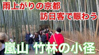 2025年1月26日 訪日客で賑わう雨上がりの京都嵐山竹林の小径を歩く Walking the bamboo forest trails,Arashiyama 【4K】