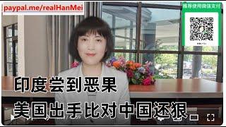 241123合集【马斯克哭了！川普任命搞垮美国财长】【美国中东失败，伊朗首颗核弹】【印度掉入“美国陷阱”】【寒梅视角】