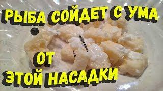 Насадка для ловли любой мирной рыбы