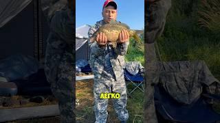 Как весной поймать карпа #shorts #рыбалка