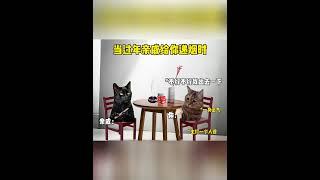 当过年亲戚给你递烟时 #猫meme #内容过于真实 #搞笑 #猫meme小剧场  #cat #迷恋 #萌宠  #funny #貓 #cute  #萌寵 #治癒小貓 #pets