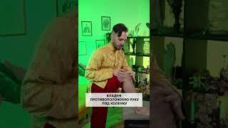 Точка от 100 болезней ПОД КОЛЕНОМ #зож  #здоровье #цигун