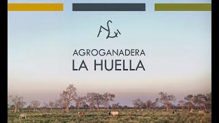 Agroganadera La Huella SA - Español