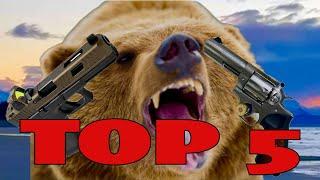 Updated Top 5 Firearms for Alaska Brown Bear Defense: I Was WRONG!!