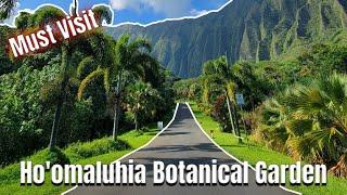 The Ultimate Guide to Ho'omaluhia Botanical Garden | Hawaii Vlog 2023