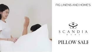 Scandia Home Sleep Pillow Sale 2023 at Fig Linens and Home