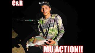 COWBOY STRIKES AGAIN MU(BIGEYE EMPEROR) CATCH AND RELEASE!!!| ULUA FISHING HAWAII|