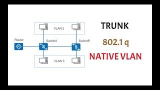 what is a trunk | dot1q | native vlan? ccna 200-301