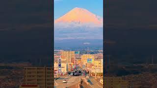 Golden days for sightseeing | #short #youtubeshort #japan