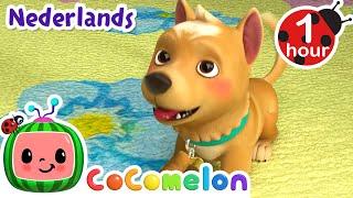 Bingo de hond | CoComelon Nederlands - Kinderliedjes