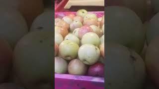 fruit#ah #shotrs #media #nabinagar #video /Dhaka bangladesh