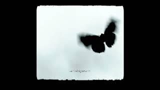 Black Butterfly (Official Audio)