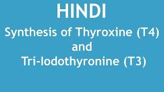 Synthesis of thyroxine (T4) and tri-iodothyronine (T3) [HINDI] | Dr. Shikha Parmar